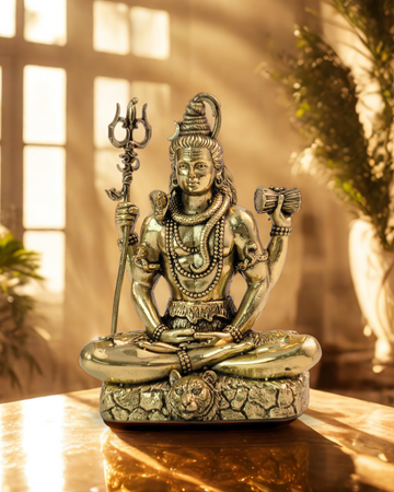 Ashtadhatu Lord Shiva - Meditation Pose